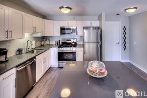 Chicago condo for rent - A kitchen with a granite countertop and stainless steel appliances.