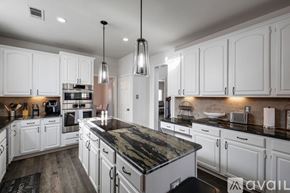 Plano house for rent - A kitchen with white cabinets and a black countertop.