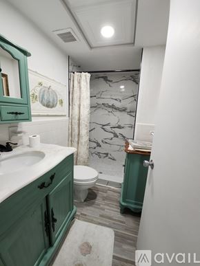 St. Pete Beach apartment for rent - A bathroom with green cabinets and a marble shower.
