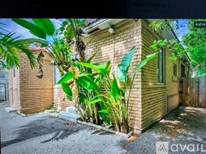 Miami Beach apartment for rent - A house with a large plant in front of it.