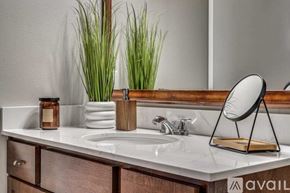 Dallas apartment for rent - A bathroom sink with a mirror and a plant on the counter.