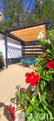 Weston apartment for rent - A pool area with a wooden pergola and a red flower in the foreground.