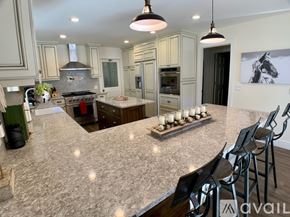 Ketchum house for rent - A kitchen with a marble countertop and a horse picture on the wall.