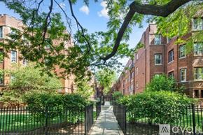 Chicago apartment for rent - A tree branch hangs over a pathway between two rows of red brick buildings.