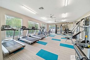 Clearwater apartment for rent - A gym with treadmills, elliptical machines, and other exercise equipment.