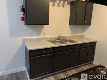 Waterloo apartment for rent - A kitchen with black cabinets and a marble countertop.