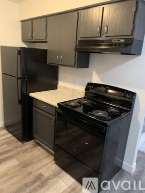 Waterloo apartment for rent - A black stove and refrigerator in a kitchen.