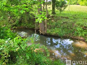Stilwell house for rent - A small stream flows through a lush green forest.