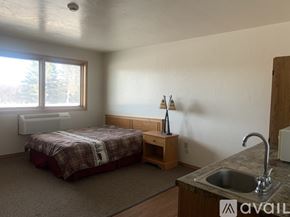 Crivitz apartment for rent - A bedroom with a bed, nightstand, and sink.