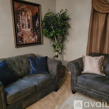 Surprise house for rent - A living room with two grey couches and a framed painting on the wall.