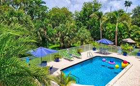 Fort Lauderdale apartment for rent - A pool surrounded by trees and a fence with chairs and umbrellas.