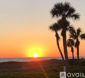 Longboat Key condo for rent - A sunset view with palm trees and the sun setting over the ocean.
