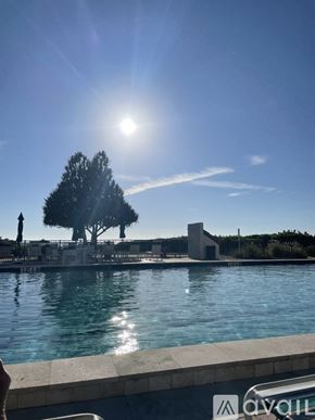 Longboat Key condo for rent - A tree stands next to a pool under a bright sun.