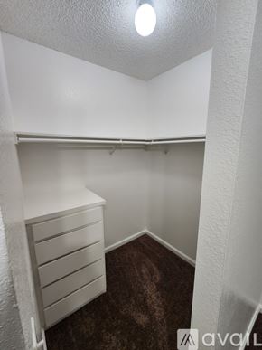 Bakersfield apartment for rent - A small white closet with a brown carpet.