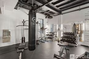 Chicago apartment for rent - A gym with a punching bag, weights, and exercise equipment.