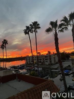 Carlsbad condo for rent - A sunset view with palm trees and boats docked in the water.