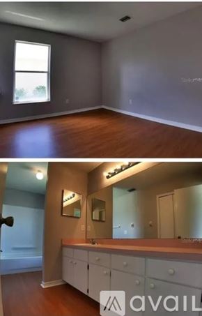 Winter Garden house for rent - A bathroom with a vanity and a large mirror.