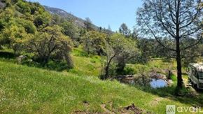 Tollhouse townhouse for rent - A tree stands in a field with a mountain in the background.