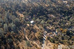 Tollhouse townhouse for rent - A house is surrounded by trees in a wooded area.