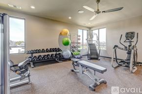 Willow Park townhouse for rent - A well-equipped home gym with a variety of exercise equipment.