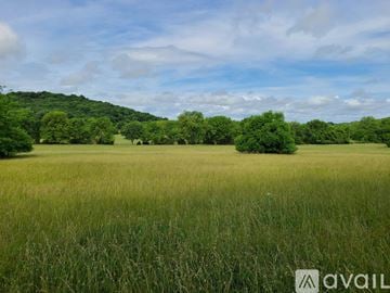 Stilwell apartment for rent - A field of tall green grass with trees in the distance under a blue sky with clouds.