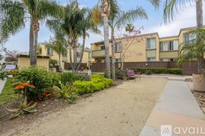 San Diego condo for rent - A garden with a pathway, palm trees, and a building in the background.