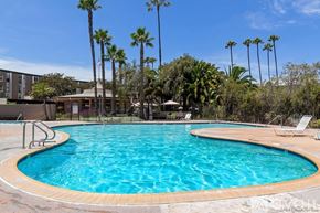 San Diego condo for rent - A swimming pool surrounded by palm trees and lounge chairs.