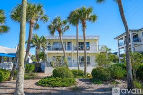 St. Pete Beach apartment for rent - A row of palm trees in front of a white building with a balcony.