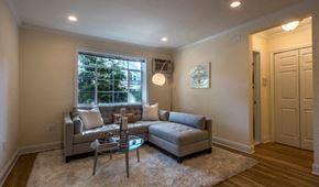 Brookline apartment for rent - Living Room