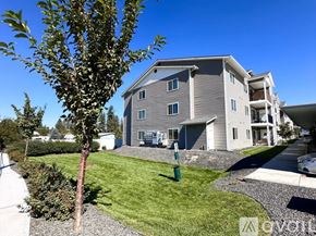 Spokane apartment for rent - A tree stands in front of a grey apartment building.