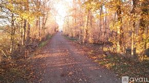 Elkhart apartment for rent - A dirt road surrounded by trees with the sun shining through the trees.