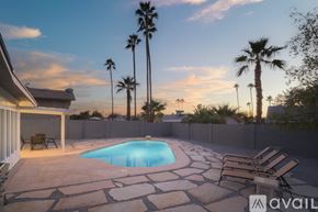 Scottsdale house for rent - A pool surrounded by palm trees and a patio with chairs.