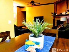 Oklahoma City apartment for rent - A green plant in a white pot with a blue and yellow design sits on a table.