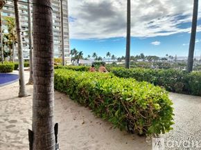 Honolulu condo for rent - A beach scene with a person in the distance and palm trees in the foreground.