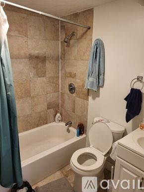 Boston apartment for rent - A bathroom with a toilet, sink, and shower.
