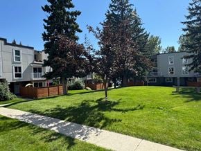 Calgary apartment for rent - A tree with red leaves stands in a grassy area in front of apartment buildings.