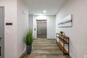 Newark apartment for rent - A hallway with a plant in a pot and a painting on the wall.