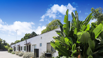 Sta Monica apartment for rent - A white building with a green plant in front.
