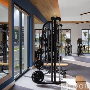 Tampa apartment for rent - A gym with a variety of equipment including weights and machines.