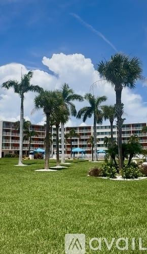 Tampa apartment for rent - A modern kitchen with white cabinets and a black countertop.