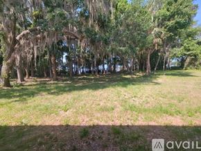 Charlotte condo for rent - A grassy field with trees and hanging moss.