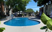 Dallas apartment for rent - A blue swimming pool surrounded by trees and buildings.