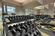 Austin apartment for rent - A gym with a row of dumbbells and weight plates.