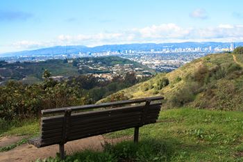 Just down the street from kenneth hahn park