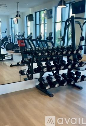 Wesley Chapel townhouse for rent - A gym with a variety of equipment including dumbbells and weight machines.