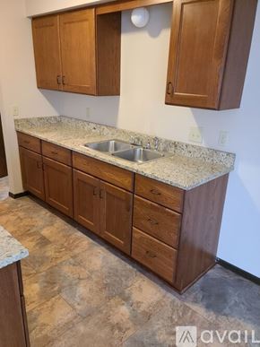 New Prague apartment for rent - A kitchen with wooden cabinets and a granite countertop.