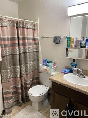 Mankato apartment for rent - A bathroom with a toilet, sink, and shower curtain.