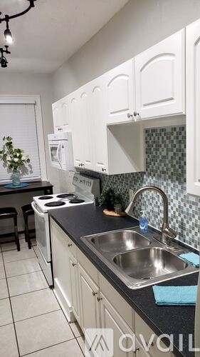 Tampa apartment for rent - A kitchen with white cabinets and a black countertop.