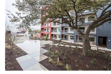 Austin apartment for rent - A tree in front of a building with a red and white building in the background.