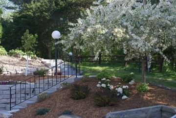 Middleton apartment for rent - A garden with a black fence and white flowers.